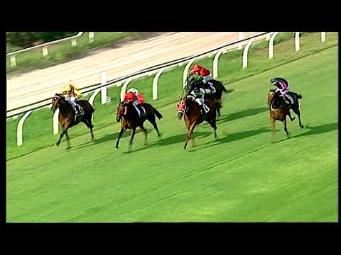 Napoli Galoppo 28/07/2021 - 2ª corsa