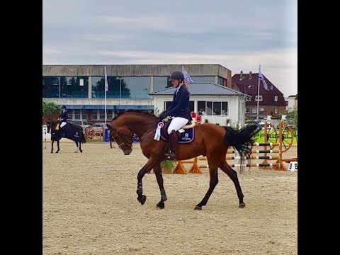 Caliano SR - 4 j. Hengst v. Cascadello - Capitol Landeschampionat Elmshorn