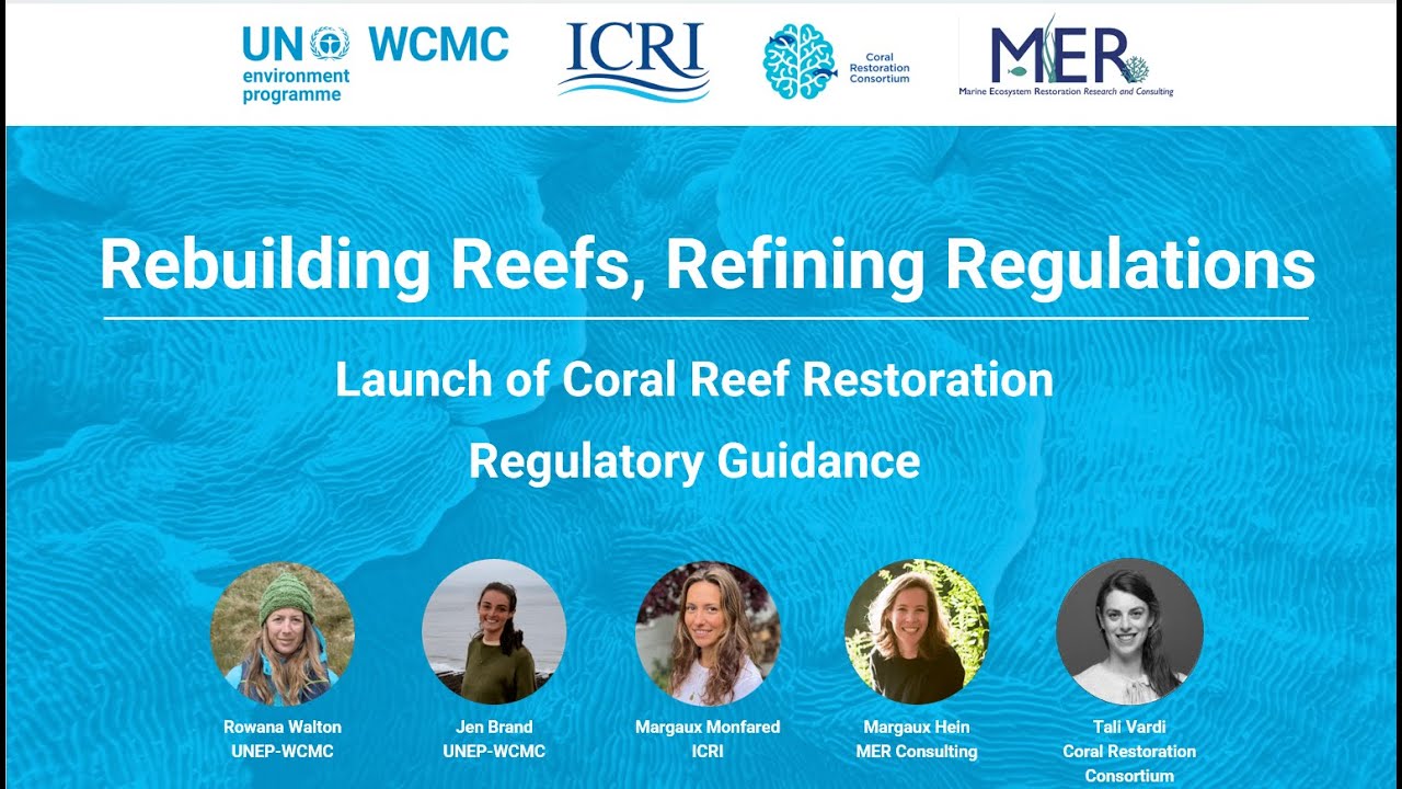 Rebuilding Reefs, Refining Regulations - Launch of Coral Reef Restoration Regulatory Guidance