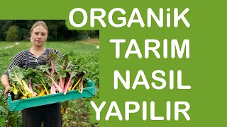 Organik Tarım Nasıl Yapılır Eğitimi Dersleri Bölümü Nedir Çiftlikleri 