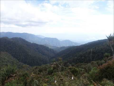 Natasha - Kondol Medley