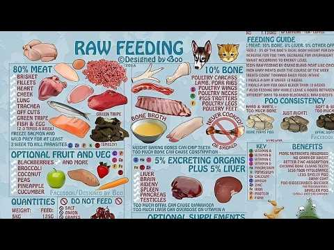 How to MAKE YOUR OWN DOG FOOD At Home