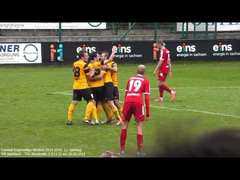 VfB Auerbach - TSG Neustrelitz 2:1 (1:0), Regionalliga Nordost 2014/2015, 11. Spieltag