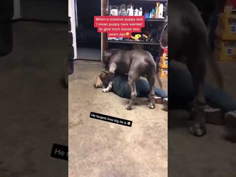 Girls and animal full sixy videos Mp4 3GP Video & Mp3 Download unlimited Videos Download Girls and animal full sixy videos Mp4 3GP Video & Mp3 Download unlimited Videos Download
