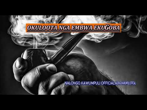 OKULOOTA NGA EMBWA EKUGOBA KITEGEZA KI ? NALONGO KAWUMPULI OFFICIAL