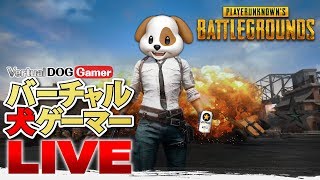 【PUBG】バーチャル犬ゲーマーの高画質ぬるぬる配信【LIVE】