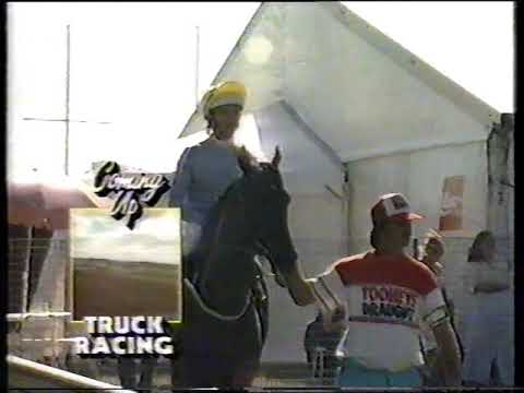 1991 Ranvet Stakes