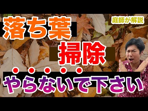 庭の枯れ葉をどう活用するか？それらを分解するためのヒントとテクニック  庭園