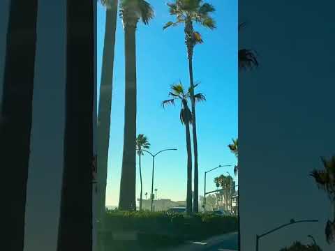 Carlsbad beach 🏝 California ❤️