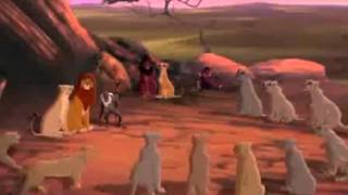 Lion King - Tim Finnegan's Wake