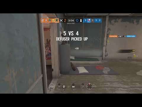 Does Rook Have A Brain? - Amaru 3K