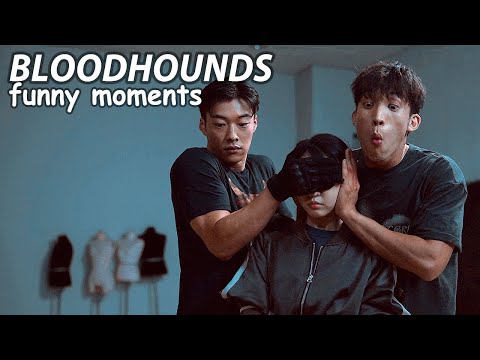 bloodhounds funny moments