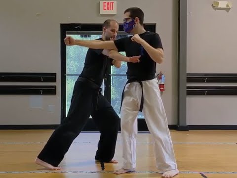 Sparring - Palm Block & Ridge Hand Combo