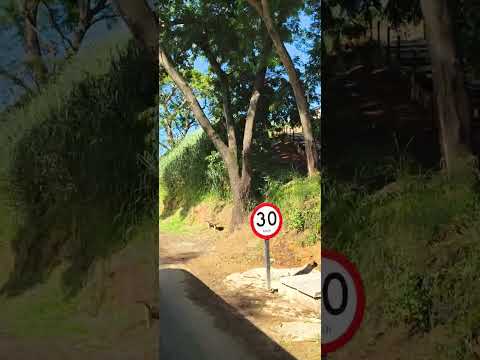 cidade nova fervedouro mg