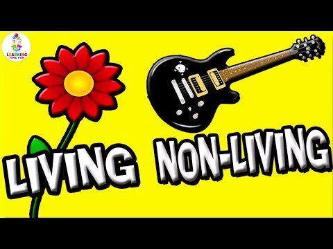 LIVING Things and NONLIVING Things (Science Learning Video for Kids)