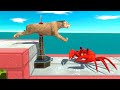 Who Can Overcome the Red Crab Trap - Animal Revolt Battle Simulator