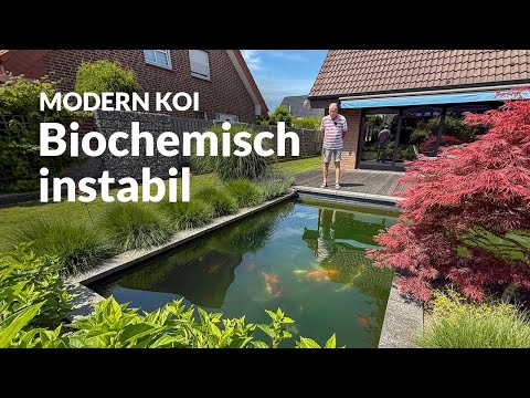 Guido's water analysis: all values ​​borderline | Modern Koi Blog #7849