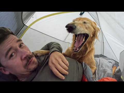 The PERFECT backpacking trip with my dog