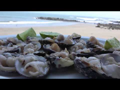 Almejas, una delicia de Playa Las Mueludas en El Salvador