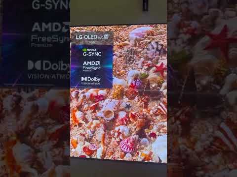Телевизор OLED LG 55G51LW