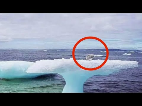 En medio del océano en un iceberg, los pescadores vieron algo increíble!!!!