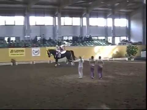 M-Cup 2011 Team Duisburg 1 Kür Qualifikation