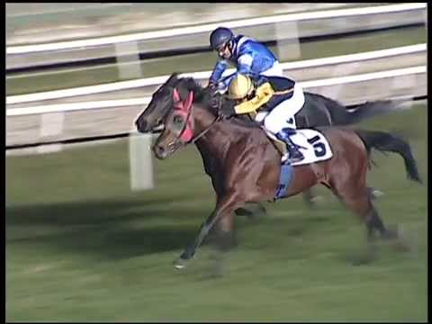 Galoppo 02/01/2015 - 6° corsa