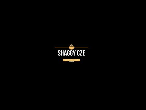 Shaggy CZE - Flsprod ft. Meek Mill - Exorcism Mix