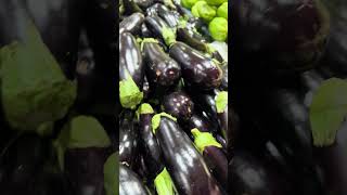 Download lagu The eggplants are huge & cheap in Australia #shortsvideo #eggplant #shoppingvlog mp3