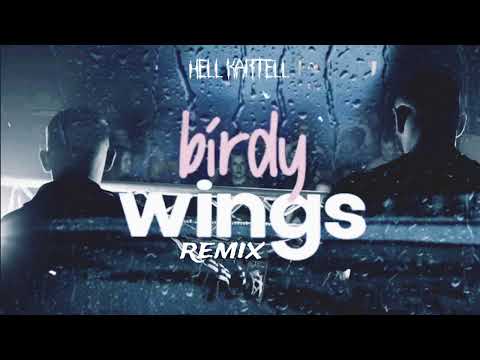 PARKINZON & SIILLAA - birdy wings remix