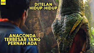 Download lagu The Giant Snake That Guards the Amazon Forest - FILM STORYLINE mp3