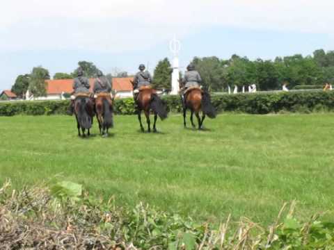 Internationale Deutsche Meisterschaften der Kavallerie 2014