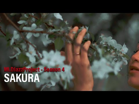 MLDJazzProject SEASON 4 - Sakura (Official Lyric Video)