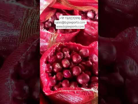Fresh Onion video 6