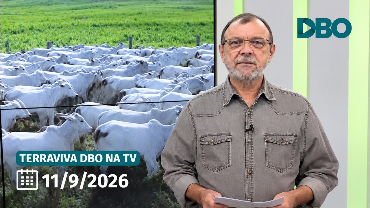 Terraviva DBO na TV – Programa do dia 11/9/2026 (Completo)