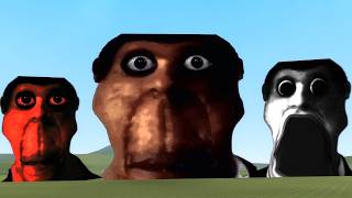 オブンガの復讐 -Obunga's Revenge-