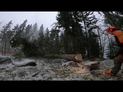 13" laipan mukavuusrajoilla / Stihl ms261C-M
