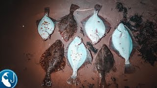 На что ловят камбалу в северодвинске