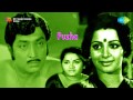 Puzha Cheppadi Vidya Song