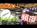 【高頻度トレーニング】ナチュラルトレーニーは一回の強度よりトレーニング頻度が大切?2分割週7回の明け方トレーニングで1か月鍛えた経過報告!