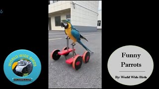 Miniature vidéo