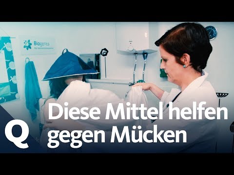 Test: Which mosquito repellent works best? | Quarks