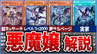 【遊戯王】妖艶すぎる『悪魔嬢』について徹底解説【ゆっくり解説】#遊戯王ocg #遊戯王 #yugioh
