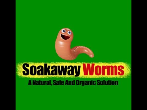 download lagu mp3 mp4 Septic Tank Soakaway Blocked, download lagu Septic Tank Soakaway Blocked gratis, unduh video klip Septic Tank Soakaway Blocked