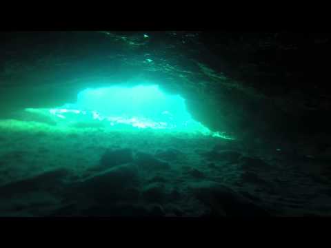 Bubble Cave Turtle - 5 Caves/Graves