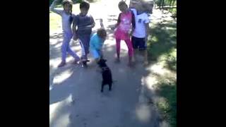 Bliss n Eso - Art House Audio