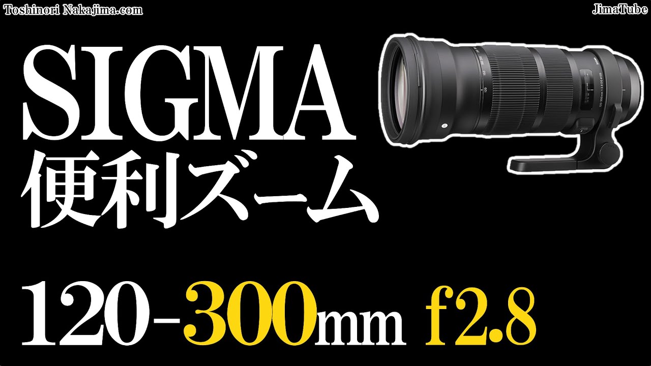 レンタル - SIGMA(シグマ)120-300mm F2.8 DG OS HSM [ニコン用 レンタル - SIGMA(シグマ)120-300mm F2.8 DG OS HSM [ニコン用
