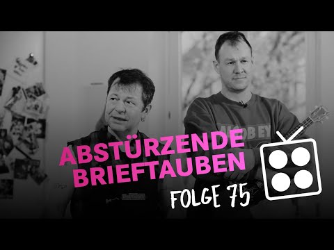 MG KITCHEN TV mit Abstürzende Brieftauben