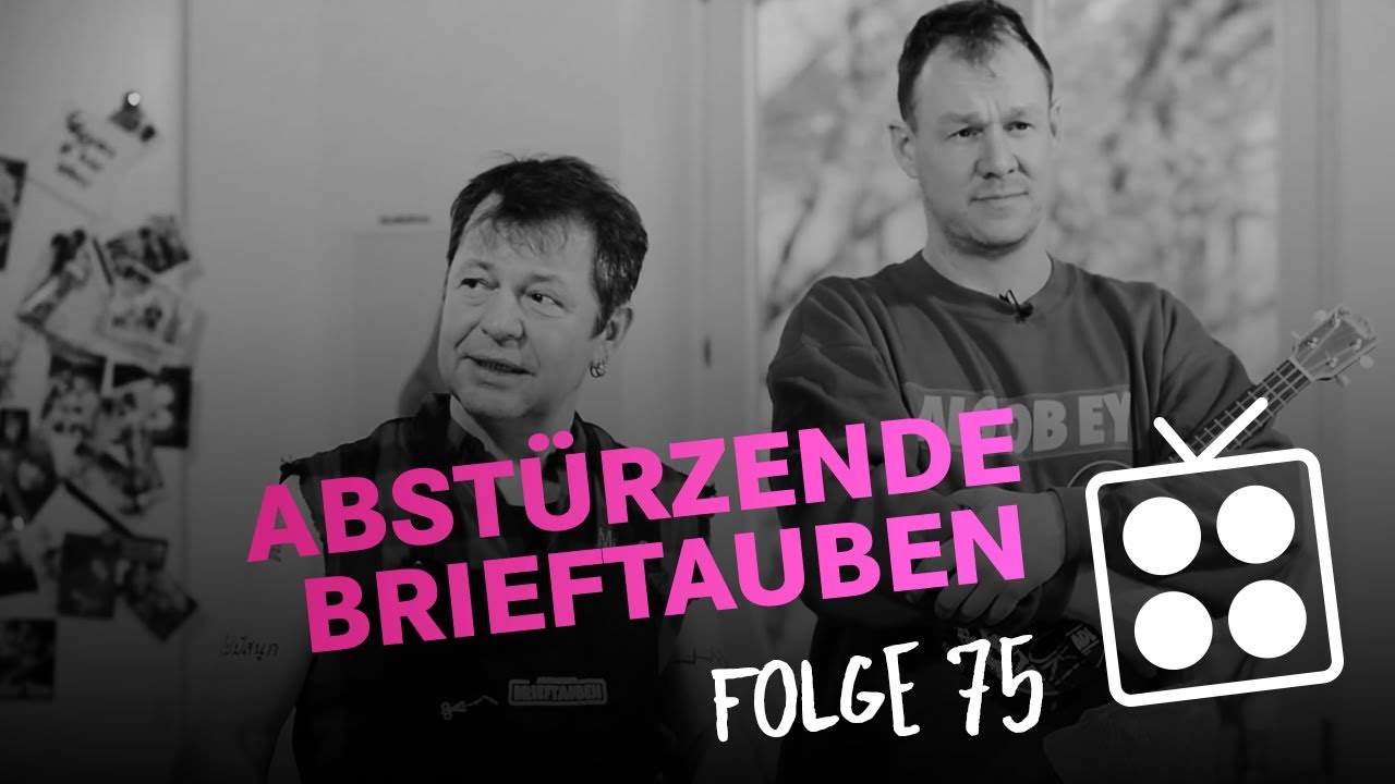 Abstürzende Brieftauben