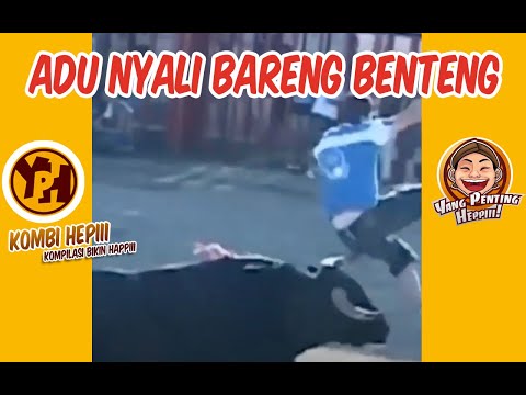 adu-nyali-bareng-banteng